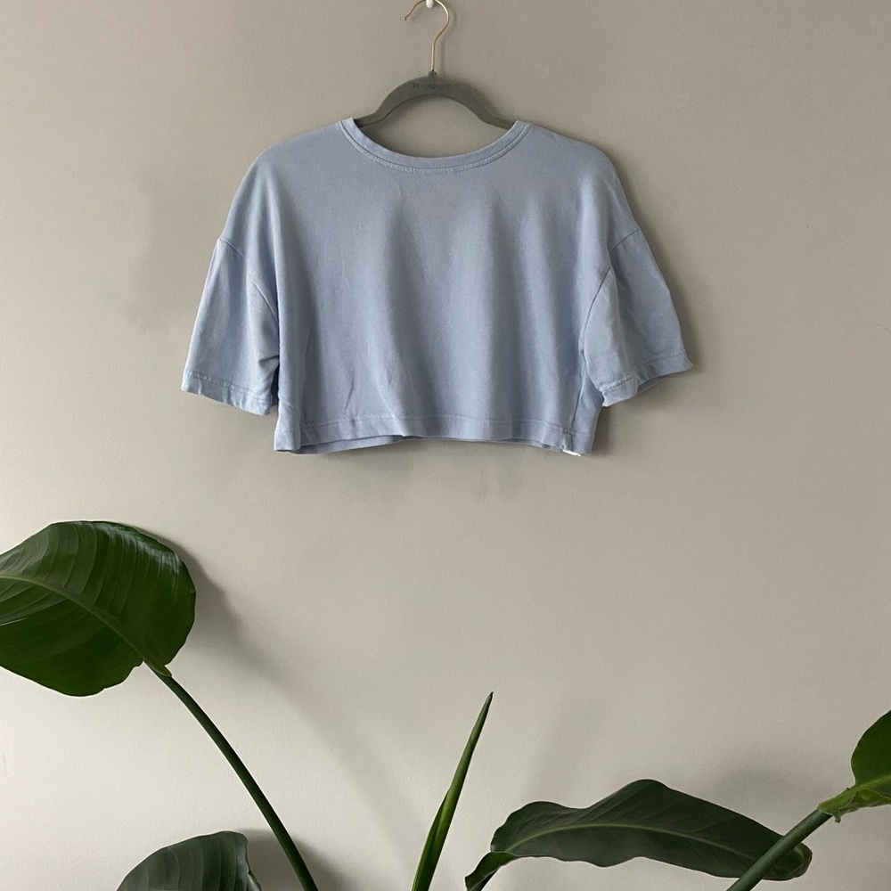 Zara Cropped Tee
